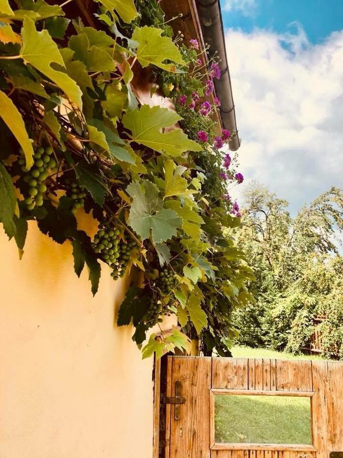 Pensiunea Oppidum Biertan Esterno foto